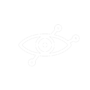 observability